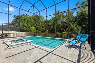 21711 Amelia Rose Way, Land O Lakes, FL 34637 - Photo 63