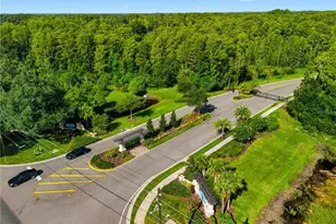 21711 Amelia Rose Way, Land O Lakes, FL 34637 - Photo 69