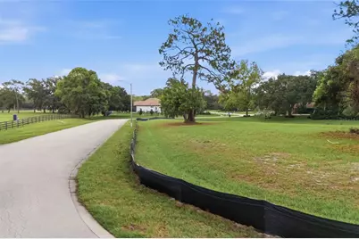 520 Austin Drive, Tarpon Springs, FL 34688 - Photo 9
