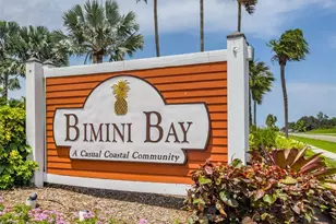 562 Bimini Bay Blvd, Apollo Beach, FL 33572 - Photo 61