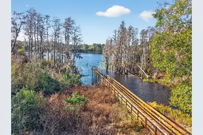 6231 Scarlet Darter Way, Tampa, FL 33625 - Photo 27