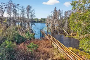 6231 Scarlet Darter Wy, Tampa, FL 33625 - Photo 27