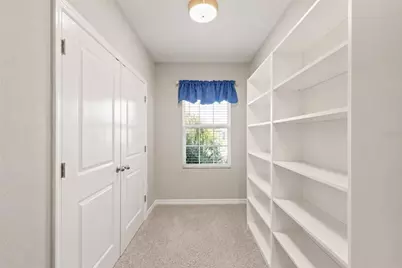2914 Suncoast Blend Drive, Odessa, FL 33556 - Photo 29