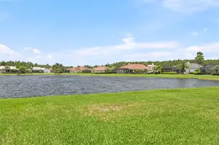 4618 Ave Longchamps, Lutz, FL 33558 - Photo 71