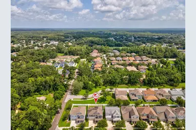 7117 Park Tree Drive, Tampa, FL 33625 - Photo 43