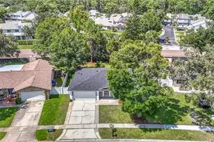 4113 Hollow Hill Dr, Tampa, FL 33624 - Photo 71