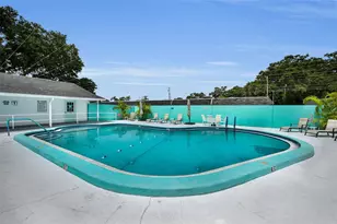 845 Sky Loch Dr S, Dunedin, FL 34698 - Photo 57