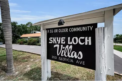 845 Sky Loch Drive S, Dunedin, FL 34698 - Photo 61