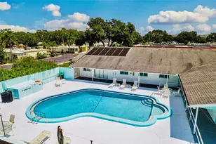 845 Sky Loch Dr S, Dunedin, FL 34698 - Photo 49