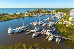 3248 Mangrove Point Dr, Ruskin, FL 33570 - Photo 45