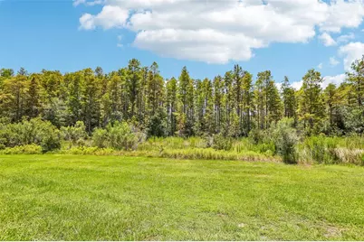 17448 Radiant Shine Way, Lutz, FL 33558 - Photo 25