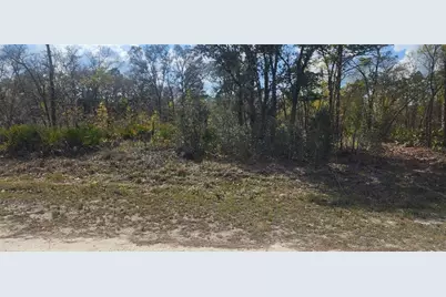 18043 Ramsey Road, Weeki Wachee, FL 34614 - Photo 1