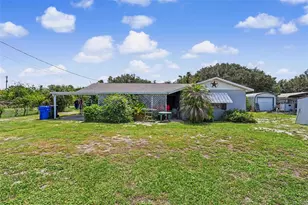 12102 Bullfrog Creek Rd, Gibsonton, FL 33534 - Photo 3