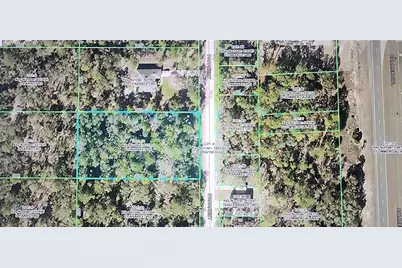 18099 Parakeet Road, Brooksville, FL 34614 - Photo 3