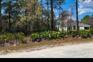 18099 Parakeet Rd, Brooksville, FL 34614 - Photo 1