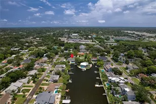 223 Pinecrest Dr, Palm Harbor, FL 34683 - Photo 49