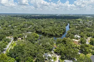 1513 E Park Cir, Tampa, FL 33610 - Photo 31
