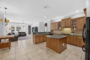 5226 Brighton Shore Dr, Apollo Beach, FL 33572 - Photo 31