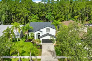 13115 Royal George Ave, Odessa, FL 33556 - Photo 55