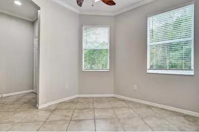 8169 Stone Leaf Lane, Tampa, FL 33647 - Photo 11
