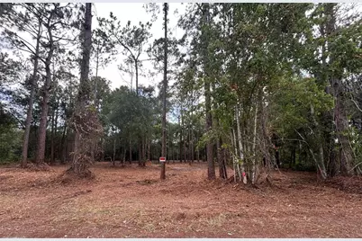 Westpoint Drive, Wesley Chapel, FL 33544 - Photo 3