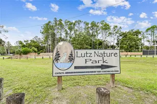 18811 Victor Manuel Dr, Lutz, FL 33548 - Photo 95