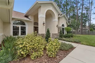 18811 Victor Manuel Dr, Lutz, FL 33548 - Photo 11