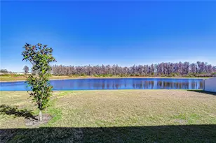 10422 Gliding Eagle Wy, Land O Lakes, FL 34638 - Photo 47