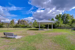 10422 Gliding Eagle Wy, Land O Lakes, FL 34638 - Photo 61