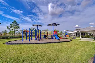 10422 Gliding Eagle Wy, Land O Lakes, FL 34638 - Photo 59