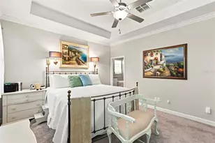 9189 Shadyside Ln, Land O Lakes, FL 34637 - Photo 43