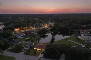 23427 Pine Lake St, Land O Lakes, FL 34639 - Photo 41