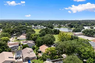 647 Bonnie Blvd, Palm Harbor, FL 34684 - Photo 45