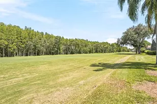 18912 Place Marquette, Lutz, FL 33558 - Photo 61