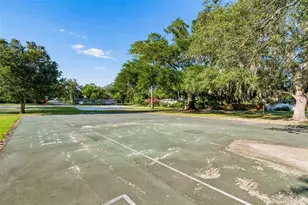 302 Deer Park Ave, Tampa, FL 33617 - Photo 51