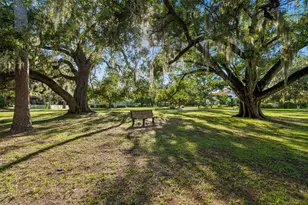302 Deer Park Ave, Tampa, FL 33617 - Photo 45