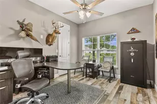 14805 Sydney Heights Ct, Dover, FL 33527 - Photo 11