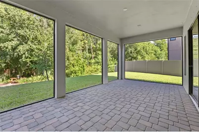 29818 Picana Lane, Wesley Chapel, FL 33543 - Photo 39