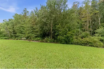 29818 Picana Lane, Wesley Chapel, FL 33543 - Photo 47