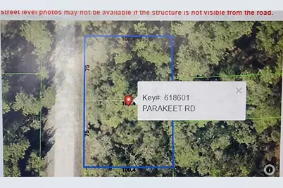 18106 Parakeet Road, Brooksville, FL 34614 - Photo 7