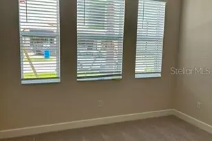 3419 Malta Ave, Wesley Chapel, FL 33543 - Photo 29