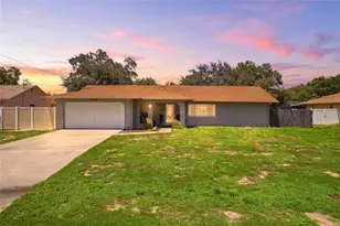 10435 Tassel St, Spring Hill, FL 34608 - Photo 1