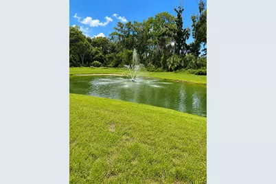 809 Lucent Sands Court, Brandon, FL 33511 - Photo 23
