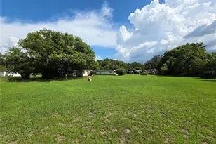 33600 Isabelle Dr, Wesley Chapel, FL 33543 - Photo 61