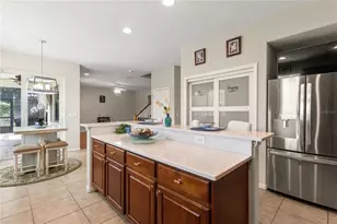 5824 Fish Crow Pl, Land O Lakes, FL 34638 - Photo 23