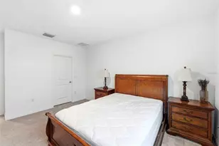 369 Mangrove Shade Cir, Apollo Beach, FL 33572 - Photo 29