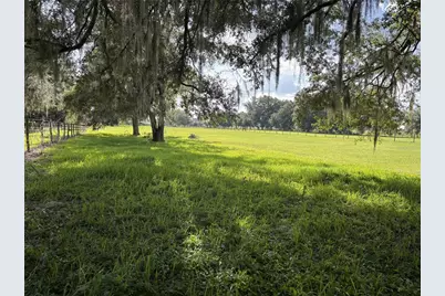 Old Lakeland Highway, Dade City, FL 33525 - Photo 5