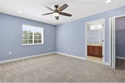 20402 Needletree Drive, Tampa, FL 33647 - Photo 11