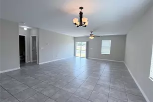 10013 Crested Fringe Dr, Riverview, FL 33578 - Photo 17