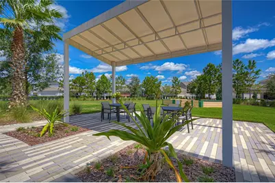 15371 Caravan Avenue, Odessa, FL 33556 - Photo 57